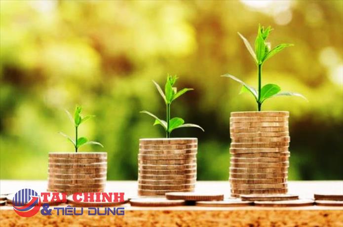 Lịch chốt quyền cổ tức bằng tiền của các doanh nghiệp từ 13/6 - 17/6