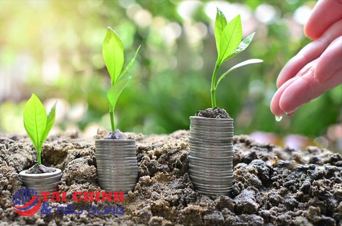 Cần giải pháp tài trợ thương mại bền vững phù hợp với nhu cầu của từng doanh nghiệp