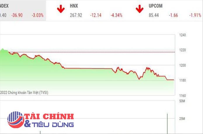 Giao dịch chứng khoán chiều 20/6: Thị trường lao dốc, hàng trăm mã nằm sàn
