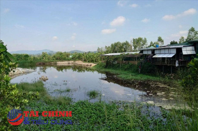 Đồng Nai: Một trang trại heo bị phạt gần 600 triệu đồng do vi phạm môi trường