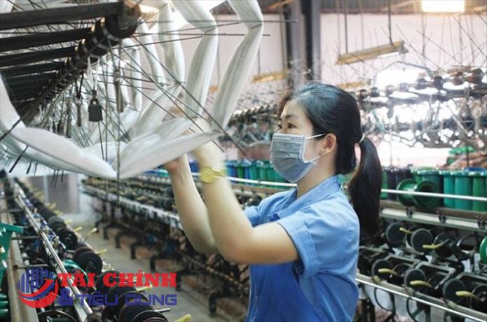 Hỗ trợ 100% chi phí khóa đào tạo về kinh doanh bền vững cho doanh nghiệp