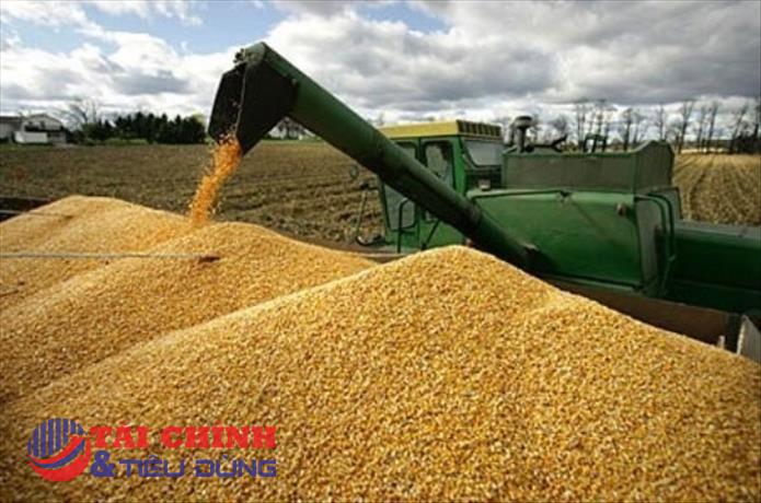 Thị trường hàng hóa ngày 13/7: Hai nhóm năng lượng và nông sản dẫn dắt đà giảm
