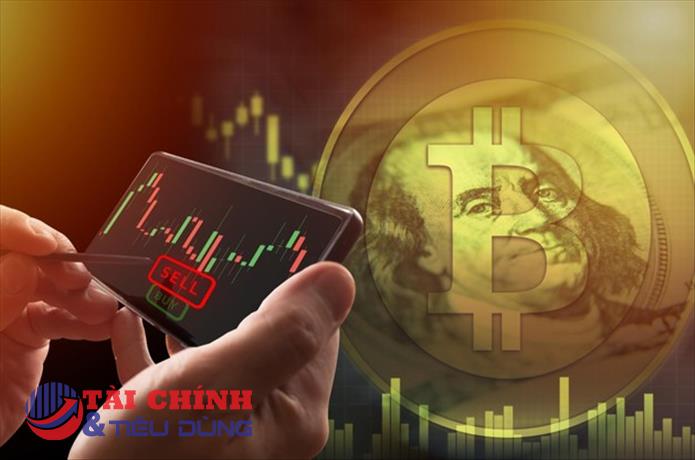 Bitcoin bình thản trước cơn giông bão
