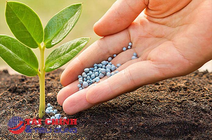 Đạm Phú Mỹ (DPM) chốt quyền chia cổ tức bằng tiền mặt, tỷ lệ 40%