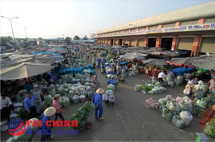 Sản phẩm tham gia "chuỗi thực phẩm an toàn" tại TP. HCM chứa kháng sinh, chất cấm