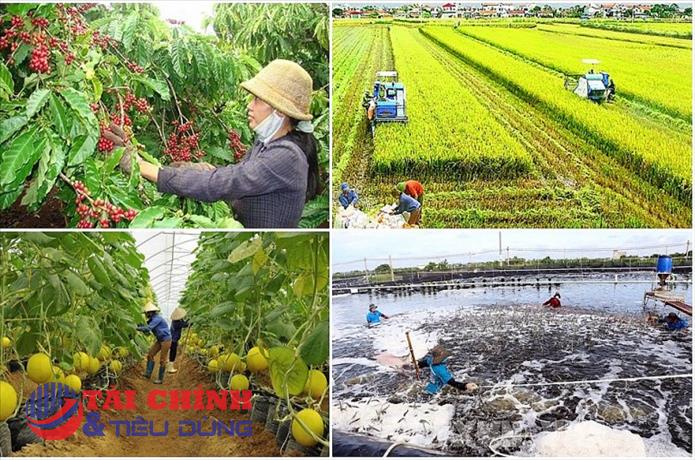 Nhiều hình thức hỗ trợ cho người nghèo phát triển sản xuất nông nghiệp