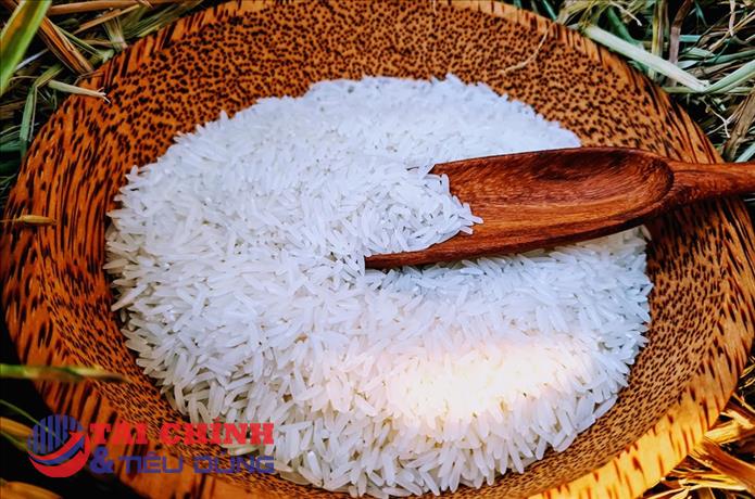 Xuất khẩu gạo được dự báo tăng trưởng tốt trong 6 tháng cuối năm