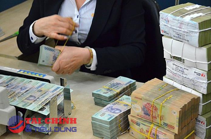 Các tổ chức tín dụng được phân bổ tăng trưởng tín dụng năm 2022 dựa trên cơ sở nào?