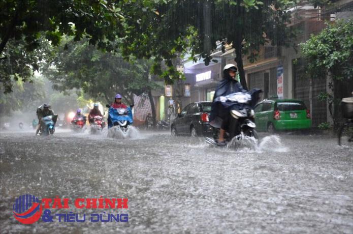 Thời tiết hôm nay 31/7: Bắc Bộ mưa rào và dông rải rác