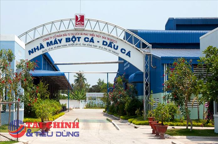 Trisedco (DAT) chốt quyền chia cổ tức bằng cổ phiếu, tỷ lệ 14%