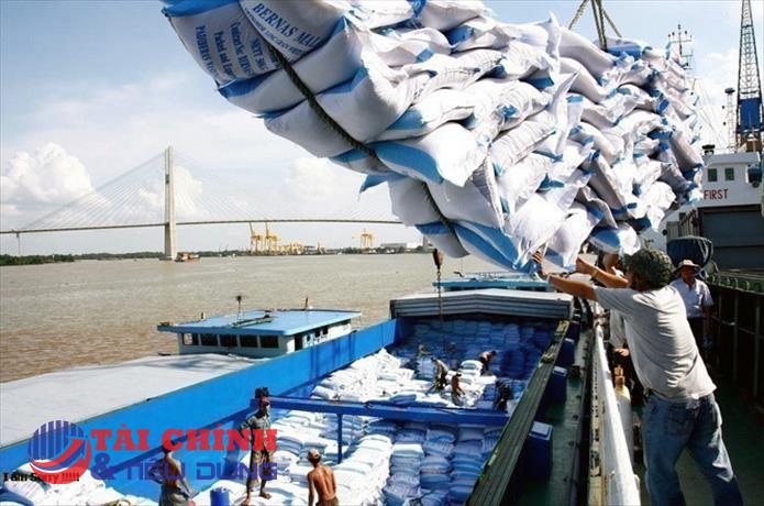 Xuất khẩu gạo Việt Nam chạm mốc 2 tỷ USD trong 7 tháng đầu năm