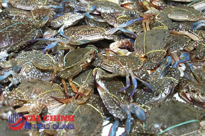 Xuất khẩu cua ghẹ có dấu hiệu tăng trưởng chậm lại