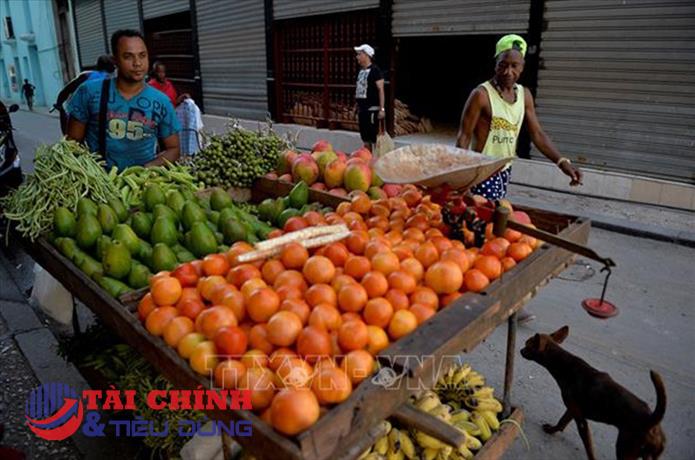 Cuba cho phép nước ngoài đầu tư vào lĩnh vực bán buôn, bán lẻ sau 60 năm