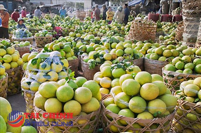Xuất khẩu rau quả sang thị trường Trung Quốc và Nga giảm sâu