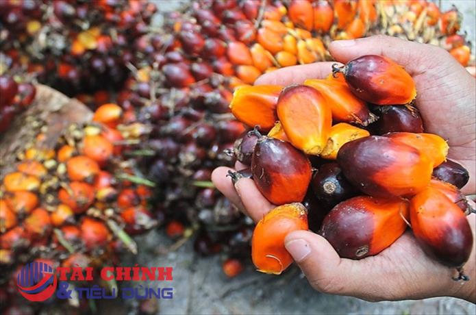 Thị trường hàng hóa 24/08: Nhóm nông sản dẫn dắt đà tăng của thị trường