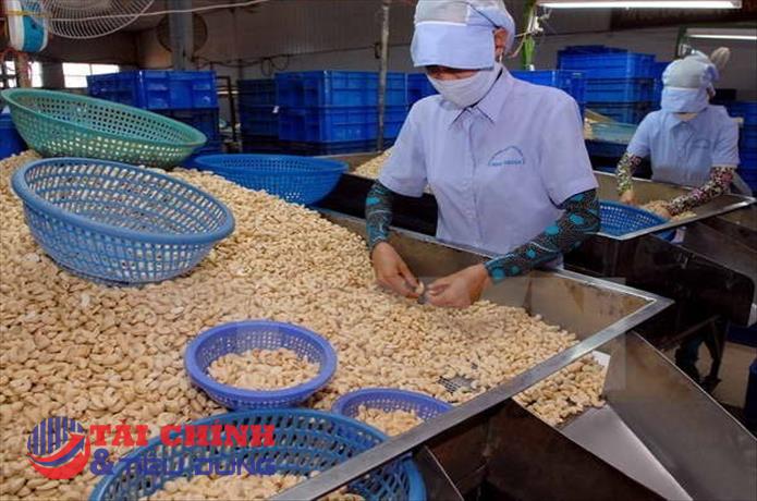 Doanh nghiệp xuất khẩu bị lừa đảo: Giải pháp nào đề hạn chế thấp nhất rủi ro?