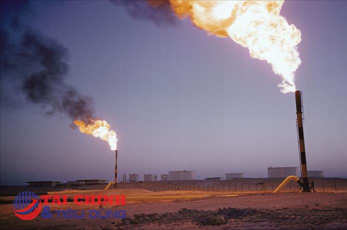 Giá gas hôm nay 25/8: Điều chỉnh giảm 1%