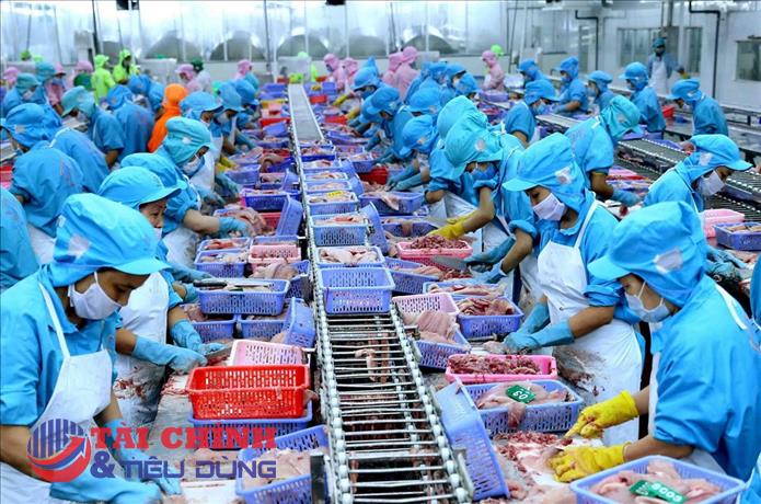 Xuất khẩu thủy sản nửa cuối năm không thể duy trì được tăng trưởng cao