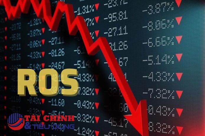 ROS - cổ phiếu từng nằm trong danh mục VN30 bị hủy niêm yết, nhà đầu tư "trắng tay"?