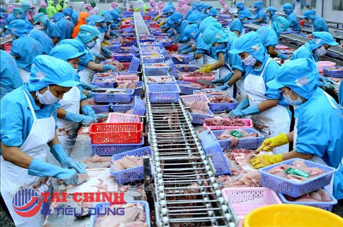 Tăng trưởng xuất khẩu cả năm của Việt Nam có nhiều triển vọng