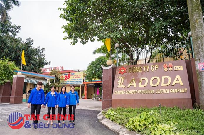 Lợi nhuận ròng "bèo bọt", Ladoda đã phủ sóng các gói thầu như thế nào?