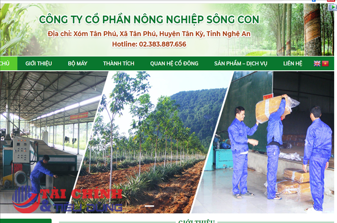 Vi phạm công bố thông tin SCA bị phạt 100 triệu đồng