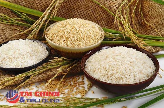 Giá gạo xuất khẩu của Việt Nam có thể tăng trong thời gian tới