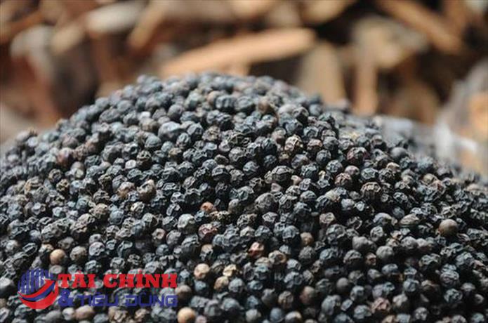Giá tiêu hôm nay 13/9: Giữ giá đi ngang, thấp nhất 66.000 đồng/kg