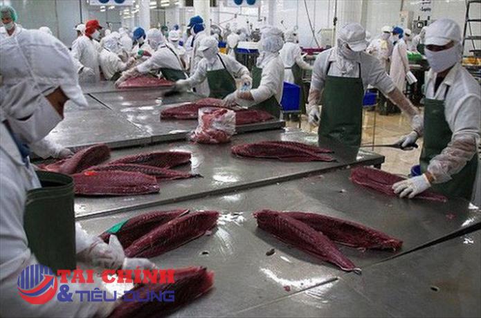 Xuất khẩu cá ngừ sang Bỉ duy trì tăng trưởng