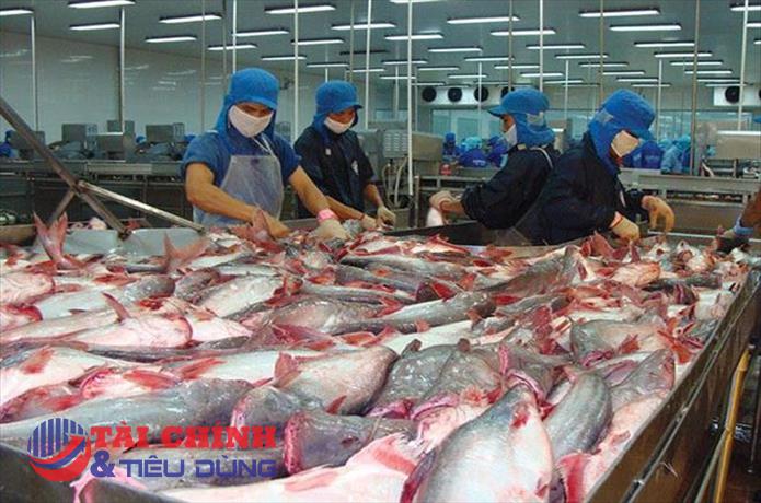 Bất chấp lạm phát, xuất khẩu cá tra sang Anh duy trì tích cực