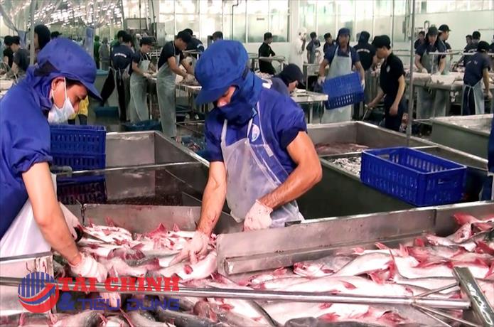 Mỹ giữ nguyên mức thuế chống bán phá giá với cá tra, cá basa Việt Nam