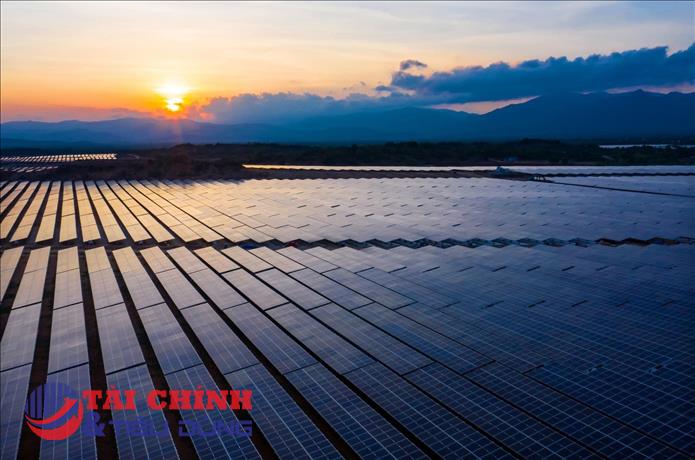 EVN đã cắt giảm 40% tỷ lệ sử dụng điện năng tại dự án điện mặt trời Trung Nam - Thuận Nam