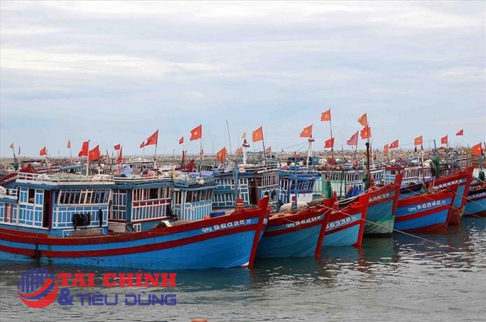 Gần 4000 tàu cá thiếu dầu diesel, tỉnh Cà Mau "cầu cứu" Bộ Công Thương
