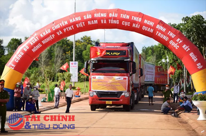 Hoàn tất thủ tục thông quan 2 container sầu riêng đầu tiên sang Trung Quốc