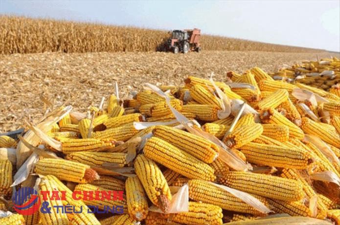 Thị trường hàng hóa 20/9: Thận trọng chờ xu hướng mới
