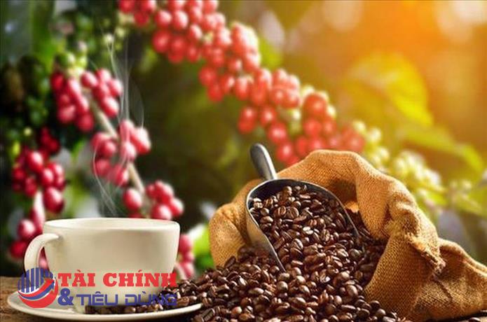 Xuất khẩu cà phê giảm trong nửa đầu tháng 9