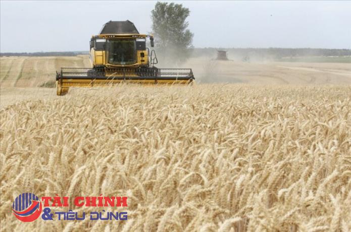 Thị trường hàng hóa 21/9: Nhóm nông sản bật tăng mạnh