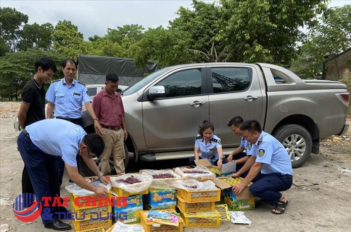 Phát hiện, xử lý 2 tấn trái cây không rõ nguồn gốc xuất xứ tại Thái Nguyên