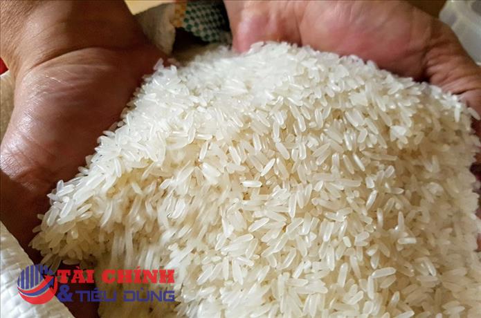 Giá lúa gạo hôm nay 27/9: Điều chỉnh giảm 200 đồng/kg với lúa OM 18
