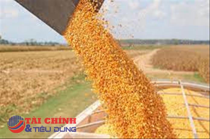 Thị trường hàng hóa 28/9: Sắc xanh đã quay trở lại bảng giá hàng hóa