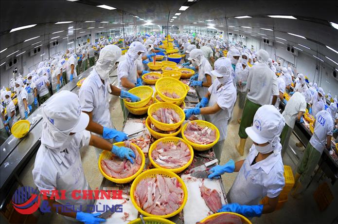 Trong 9 tháng, xuất khẩu thủy sản của Việt Nam đạt 8,5 tỷ USD