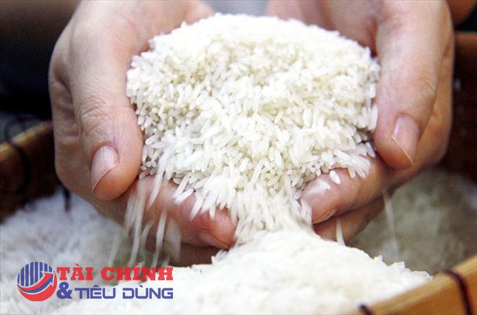 Giá lúa gạo hôm nay 3/10: Dao động quanh mốc 8.700 - 9.300 đồng/kg