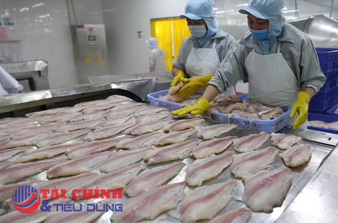 Xuất khẩu cá tra sang Brazil hồi phục lên mức cao nhất 7 tháng