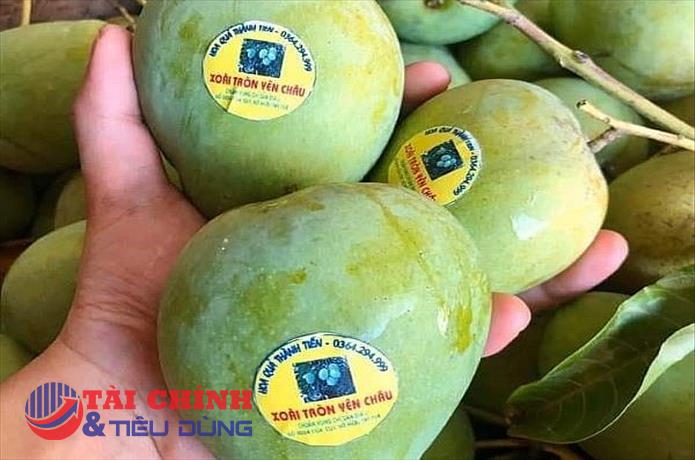 Nhiều đặc sản vùng, miền đã vào hệ thống phân phối, xuất khẩu