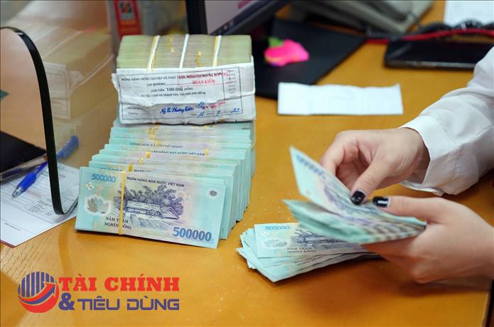 TP.HCM: Hai doanh nghiệp nợ thuế bị cưỡng chế tiền tỷ