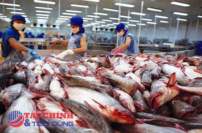 Cá tra xuất khẩu khởi sắc, thị trường Phillippine và Thái Lan tăng trưởng mạnh
