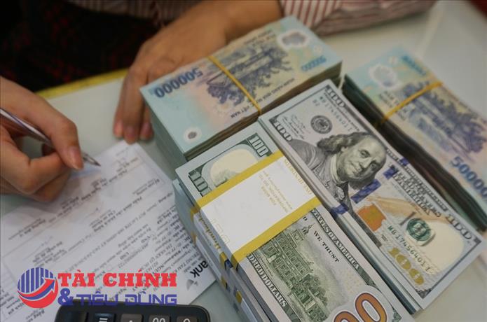 Phát hành trái phiếu riêng lẻ sụt giảm mạnh