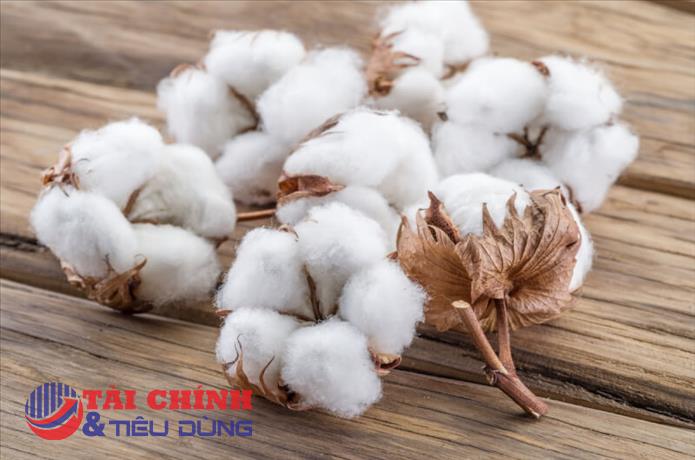 Thị trường hàng hóa 13/10: Giá nông sản và nguyên liệu công nghiệp biến động mạnh