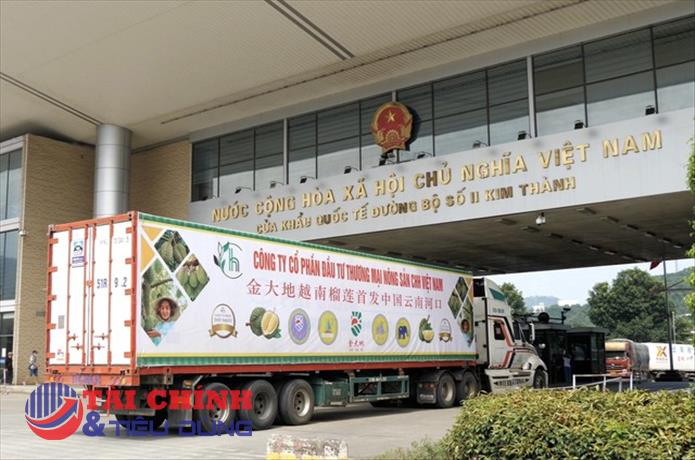 Xuất khẩu chính ngạch quả sầu riêng qua cửa khẩu Kim Thành