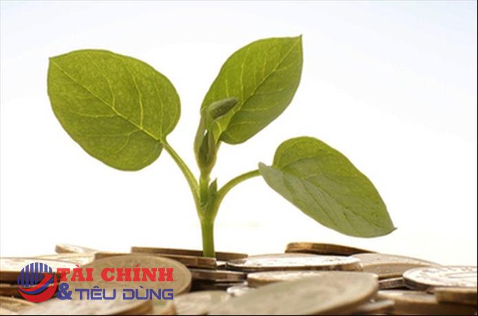 Lịch chốt quyền nhận cổ tức bằng tiền của các doanh nghiệp từ 19/10-26/10